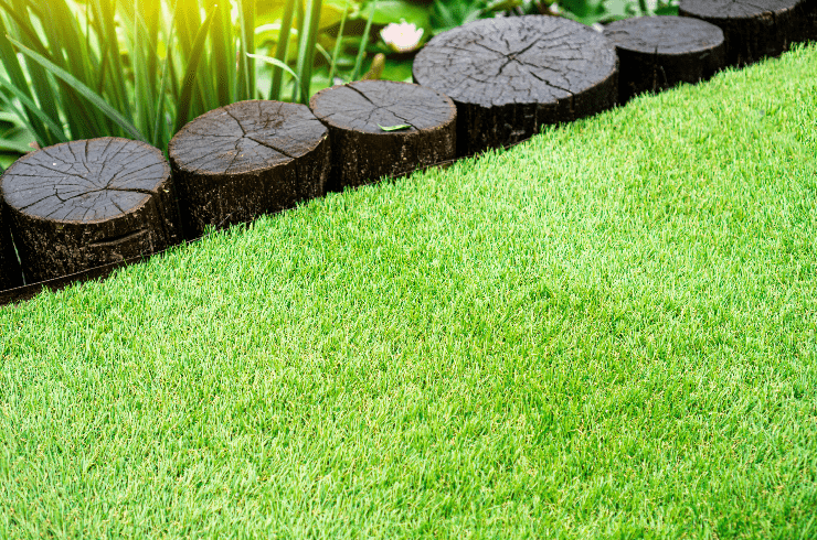 Top Tier Lawns